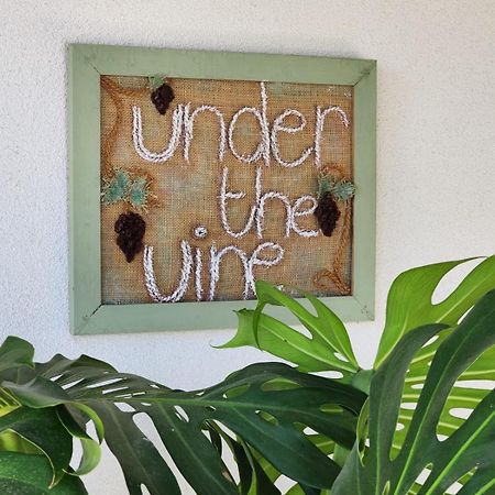 Under The Vine Garden House Lägenhet Platánion Exteriör bild